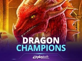 Dragon Champions